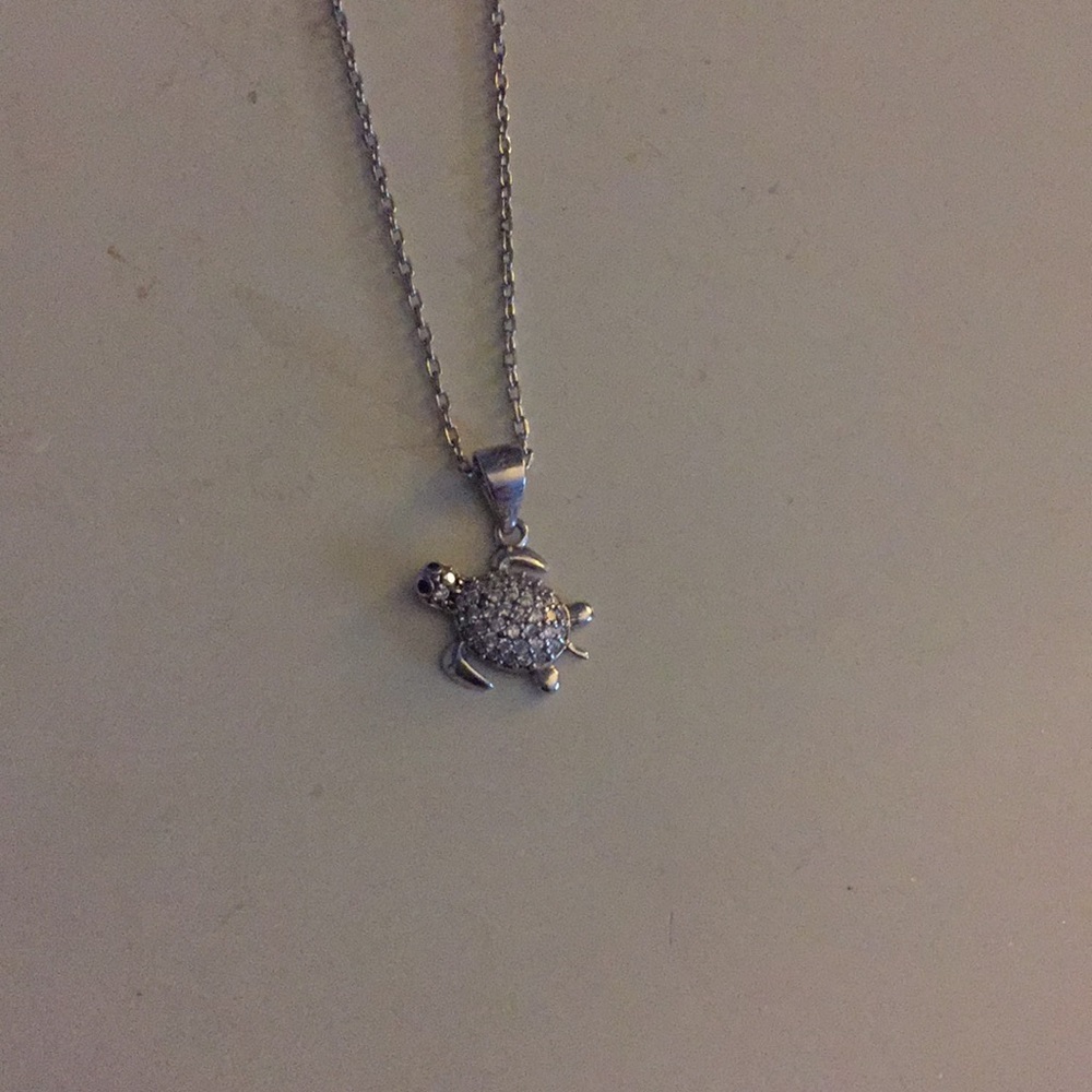 Sterling silver turtle necklace